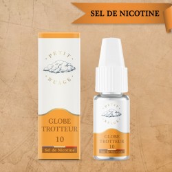 GLOBE TROTTER 10ml sel de nicotine